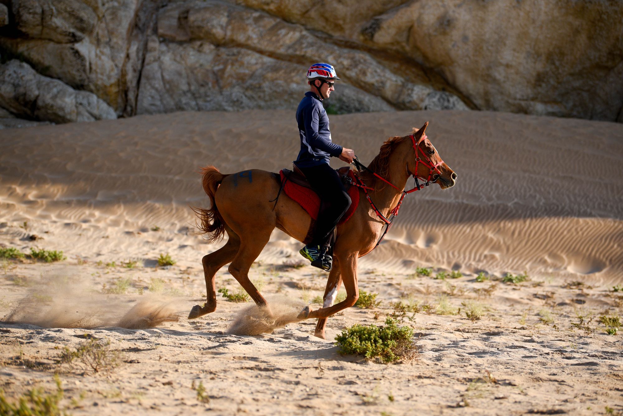 Highlights (71 of 231)_resized.jpg